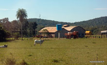 Fazenda - Brésil